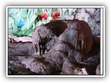 Viet_Halong_Caves2_L
