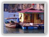 Viet_Halong_Shed_L