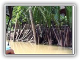 Viet_Mekong_Bank_L