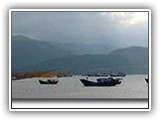 Viet_Title_Bgd