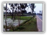 Viet_Towards_PhuMy_L